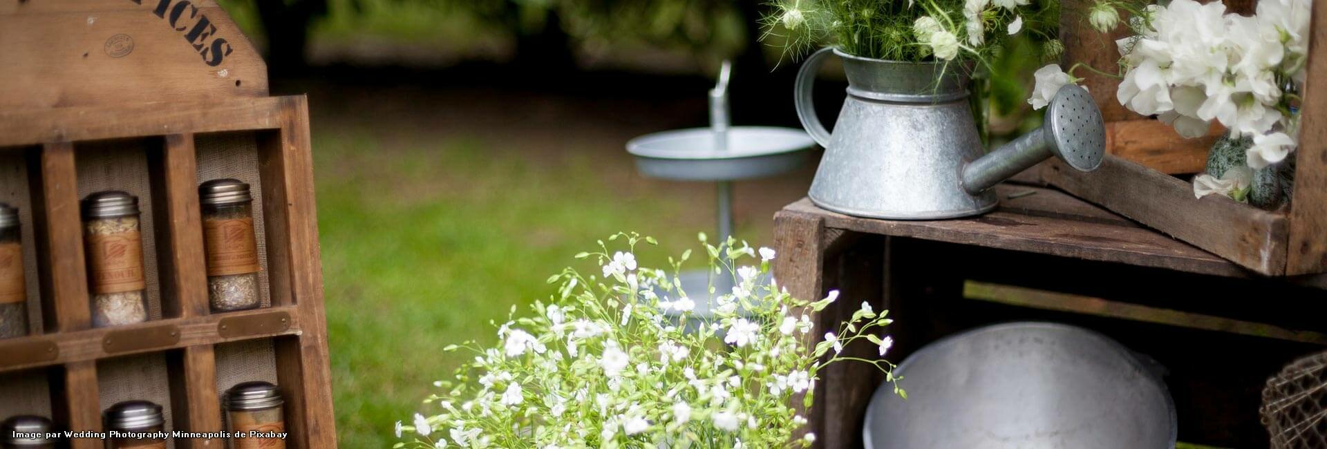 aubonheurdesanimaux26